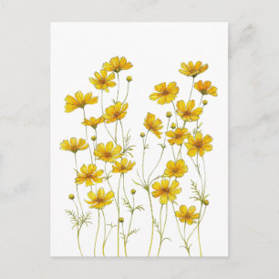 Yellow Wildflower – Elegant Botanical Floral Postcard