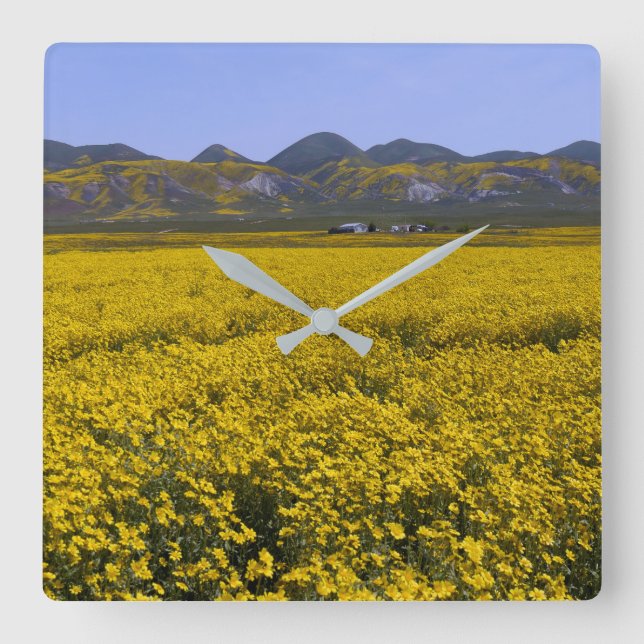Yellow Wildflower Field Landscape Square Wall Clock (Front)