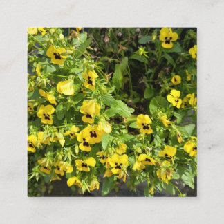 Yellow Wildflower Garden Nature Photography Square Business Card