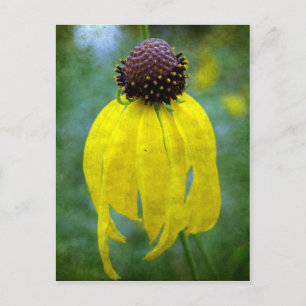 Yellow Wildflower Postcard
