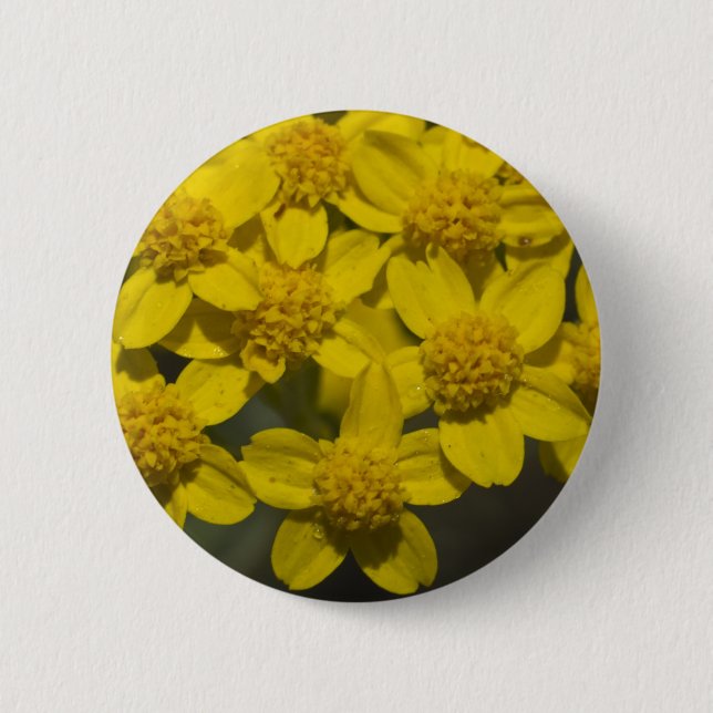 Yellow Wildflowers 6 Cm Round Badge (Front)