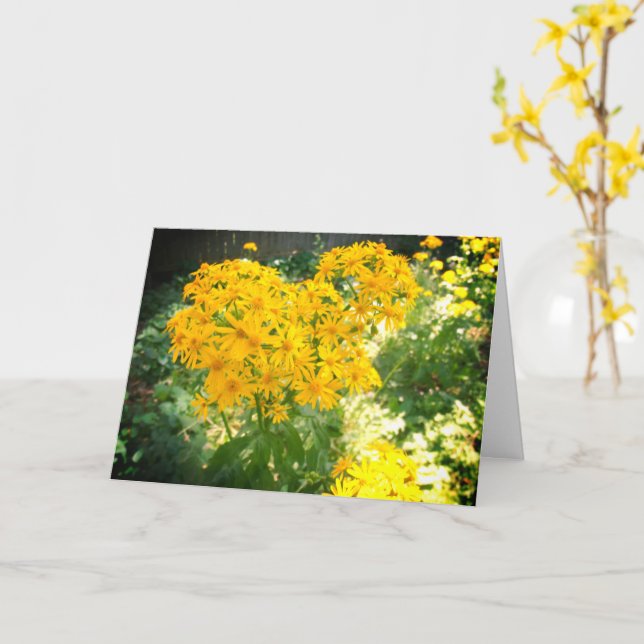 Yellow wildflowers card (Yellow Flower)