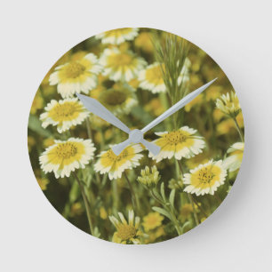Yellow Wildflowers Round Clock
