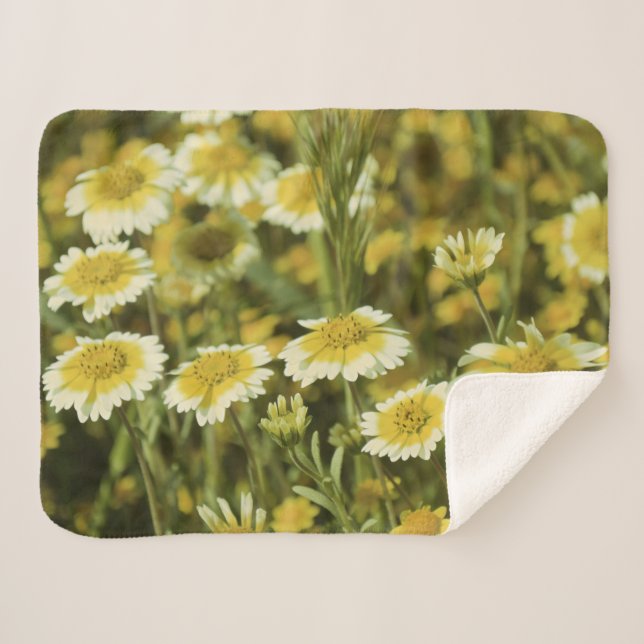 Yellow Wildflowers Sherpa Blanket (Front (Horizontal))