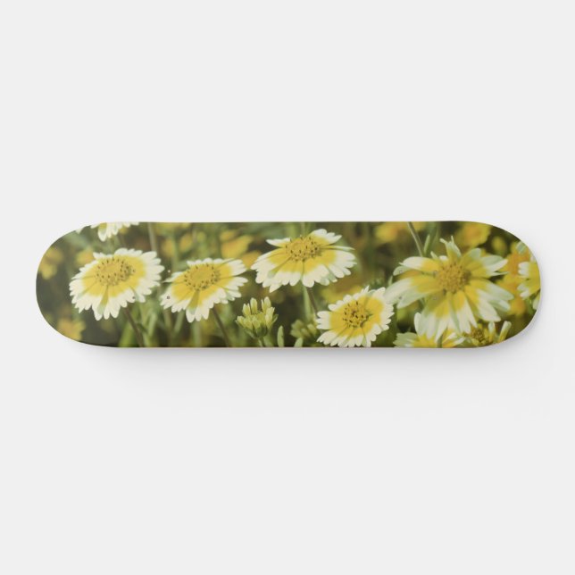 Yellow Wildflowers Skateboard (Horz)