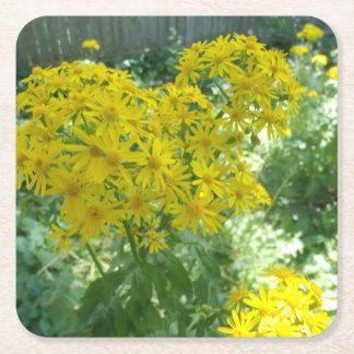 Yellow wildflowers square paper coaster
