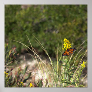 Yellow Wildflowers with Butterfly Poster