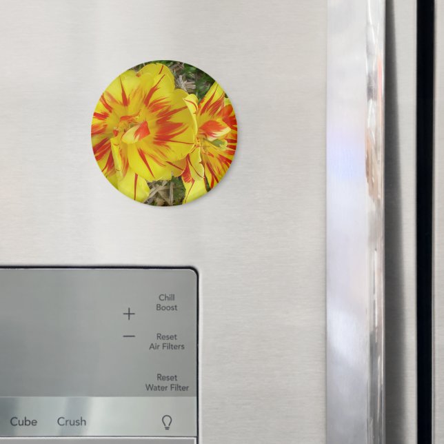 Yellow with Red Striped Flower Magnet (In Situ (Fridge))