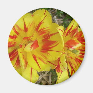 Yellow with Red Striped Flower Magnet