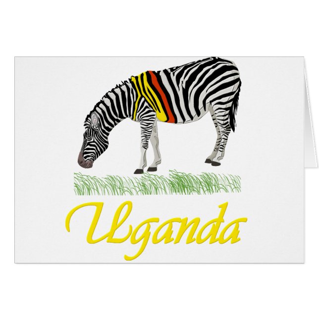 Yellow Zebra Series (Front Horizontal)