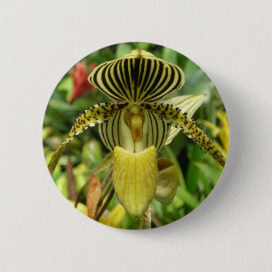 Yellow Zebra Stripes Orchid 6 Cm Round Badge