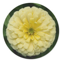 Yellow Zinnia Flower Round Stickers