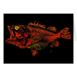 Yelloweye Rockfish - 7" x 5" Art Card