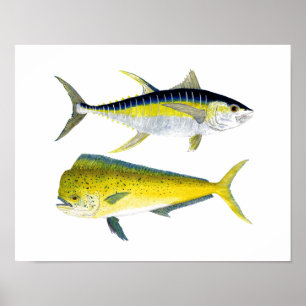 Yellowfin Tuna & Saltwater Dorado Poster