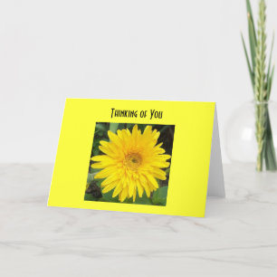 yellowgerberdaisy, Thinking of You Card