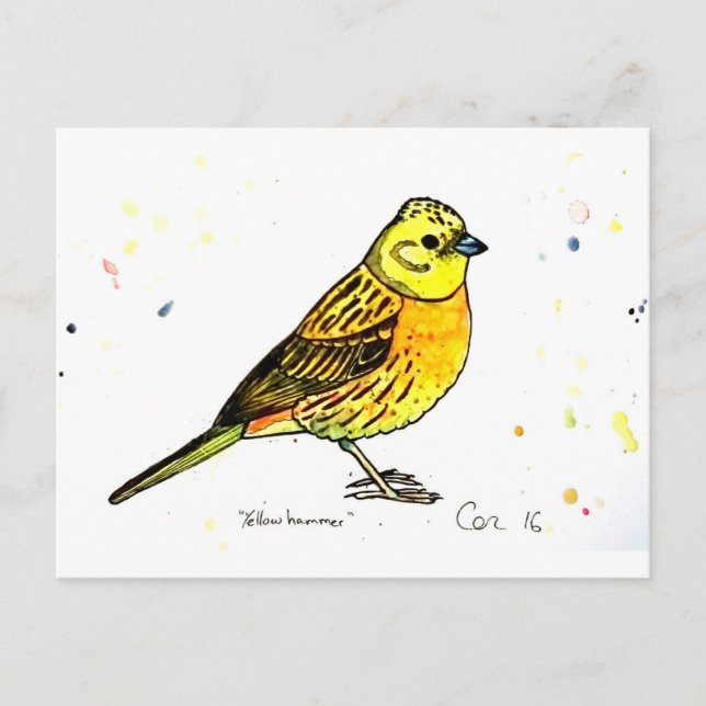 Yellowhammer bird postcard (Front)