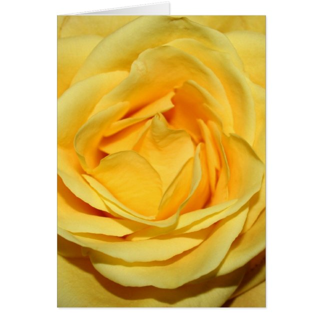 yellowrosecard (Front)