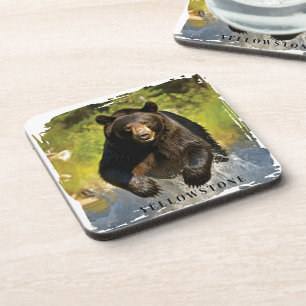 Yellowstone Bear Coaster