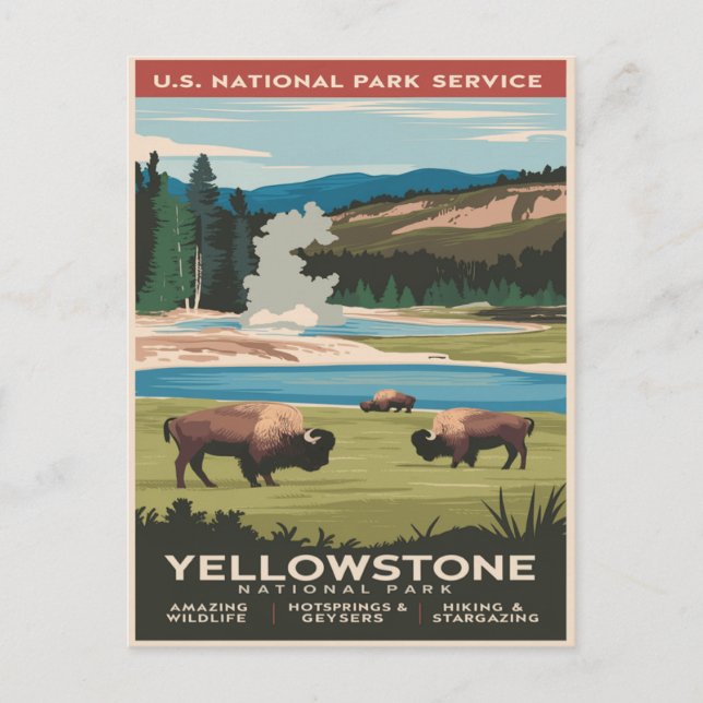 Yellowstone Bison by the Lake Postcard (Front)