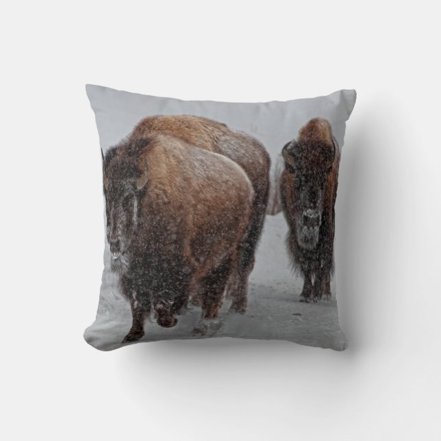 Yellowstone Bison Cushion (Front)