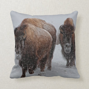 Yellowstone Bison Cushion
