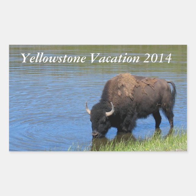 Yellowstone Bison Drinking in Lake Rectangular Sticker (Front)
