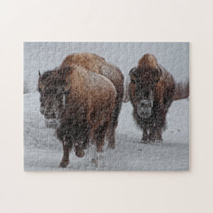 Yellowstone Bison Jigsaw Puzzle
