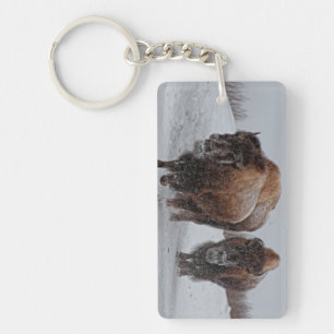 Yellowstone Bison Key Ring