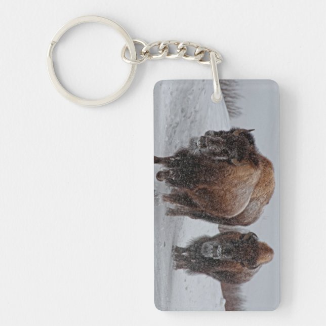Yellowstone Bison Key Ring (Front)