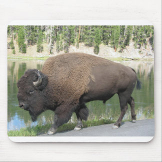 Yellowstone Bison Mouse Pad