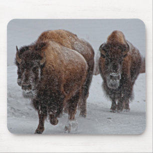 Yellowstone Bison Mouse Pad