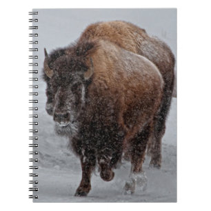 Yellowstone Bison Notebook
