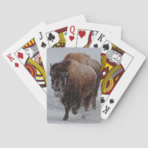 Yellowstone Bison Playing Cards