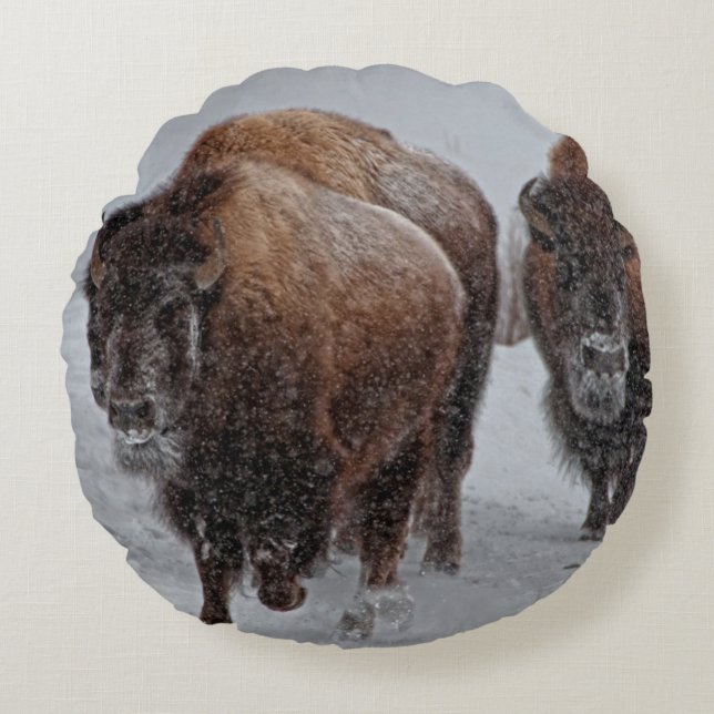 Yellowstone Bison Round Cushion (Front)