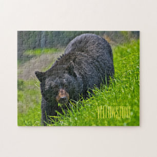 Yellowstone Black Bear Game Puzzle