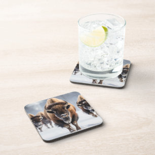Yellowstone Buffalo Coaster Set