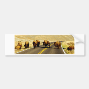 Yellowstone Buffalo Gear Bumper Sticker