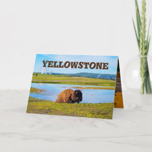 Yellowstone Card