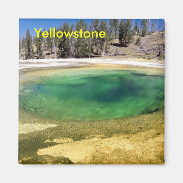 Yellowstone geyser magnet (Front)