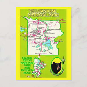 Yellowstone - Grand Teton Postcard