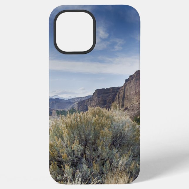 Yellowstone iPhone Case (Back)