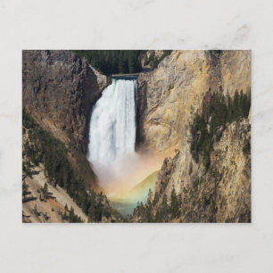 Yellowstone - Lower Yellowstone Falls postcard
