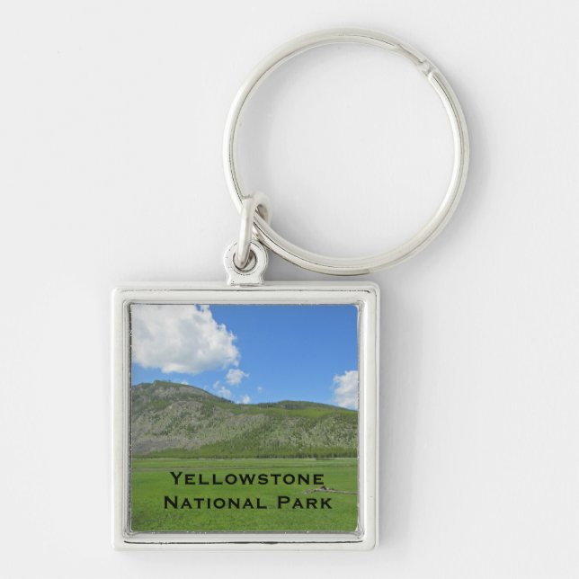 Yellowstone Lush Green Field Photo National Park Key Ring (Front)