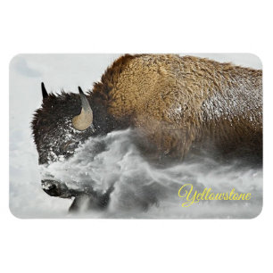 Yellowstone Magnet