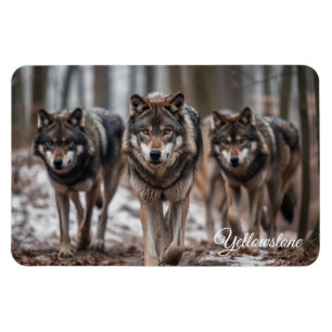 Yellowstone Magnet-Wolves Magnet