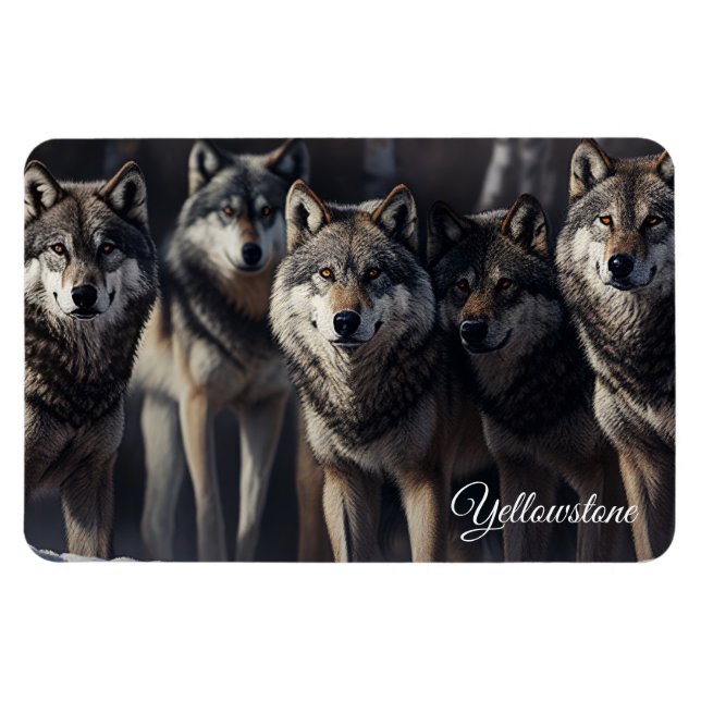 Yellowstone Magnet-Wolves Magnet (Horizontal)