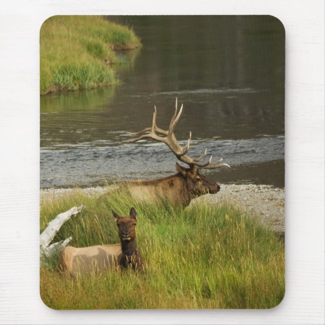 Yellowstone Mates Mousepad (Front)