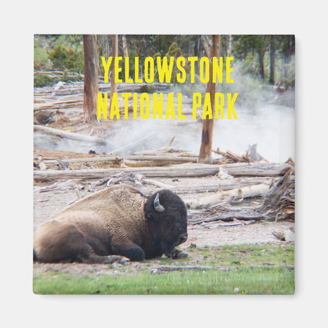 Yellowstone National Park Bison Magnet (Front)