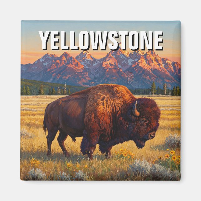 Yellowstone National Park bison Magnet (Front)