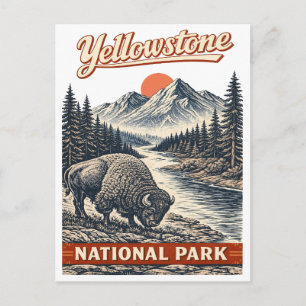 Yellowstone National Park - Bison Postcard